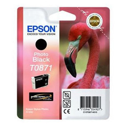 Epson Flamingo T0871 Photo Black Ink for R1900