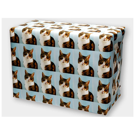 Park Cameras Personalised Photo Wrapping Paper