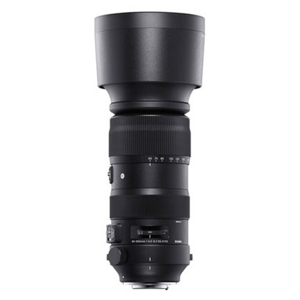 Sigma 60-600mm Lens  f/4.5- 6.3 DG OS HSM Sports Nikon Mount