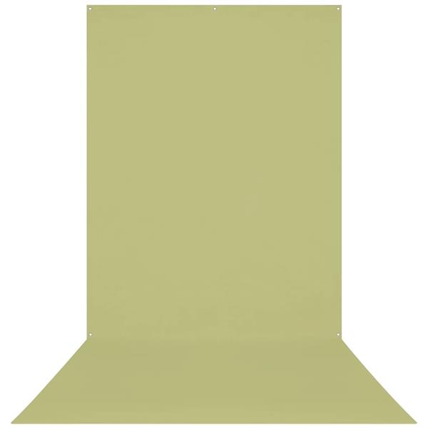 Westcott X-Drop Wrinkle-Resistant Backdrop - Light Moss Green (5' x 12')