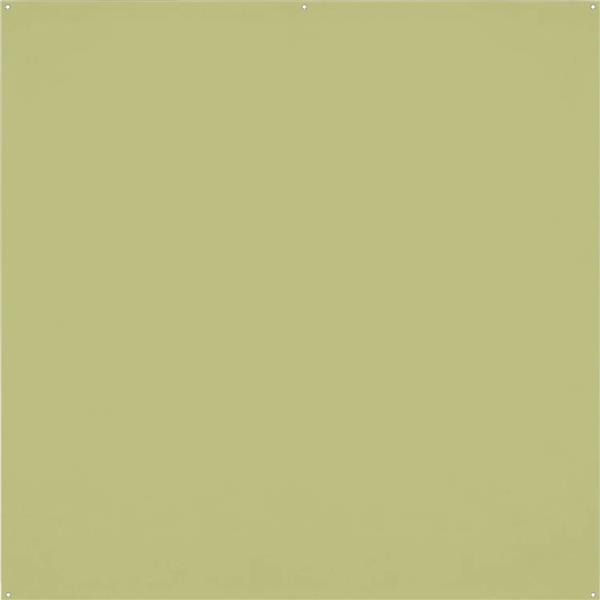 Westcott X-Drop Pro Wrinkle-Resistant Backdrop - Light Moss Green (8' x 8')
