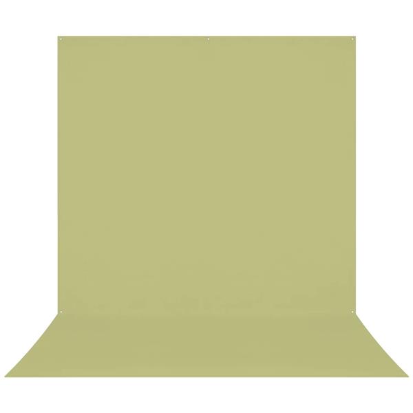 Westcott X-Drop Pro Wrinkle-Resistant Backdrop - Light Moss Green (8' x 13')