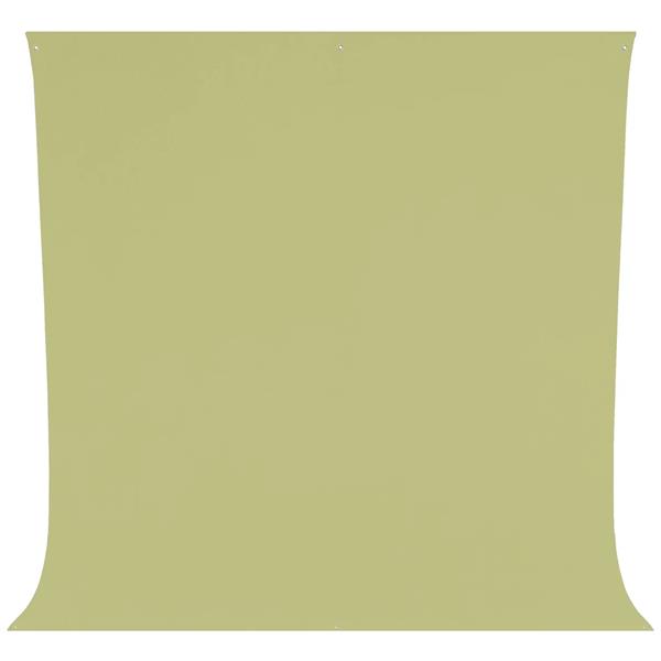 Westcott Wrinkle-Resistant Backdrop - Light Moss Green (9' x 10')