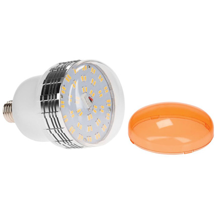 Westcott Daylight LED Lamp with Tungsten Cap (35-watt) (367)