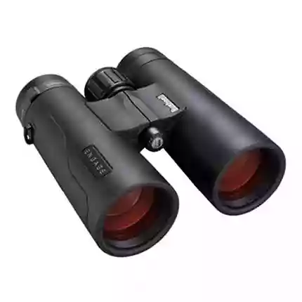 Bushnell Engage 10x42 Roof Prism Binoculars Black