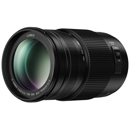 Panasonic Lumix G Vario 100-300mm f/4-5.6 II Power O.I.S. Lens