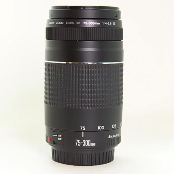 Used Canon EF 75-300mm f/4.0-5.6 Non USM MK III Telephoto Zoom Lens