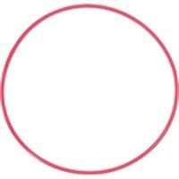 Olympus POL-050 O-Ring for PT-050 Underwater Housing