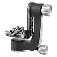 Benro GH2N Gimbal Head