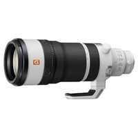 Sony FE 100-400mm f/4.5 GM OSS Lens