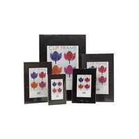 Clip Frame A3 Plexiglass Frame