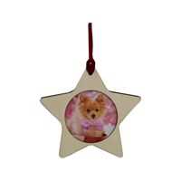 Christmas Wood Insertable Ornament Star