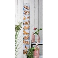 Adventa Photo Curtain Transparent 6x4