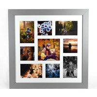 Grey Avoset collage frame