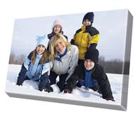 Park Cameras Canvas Prints