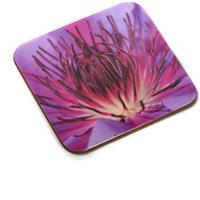 Park Cameras Personalised Photo Coasters