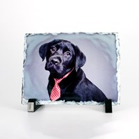 Instore - Photos on Slate 6x8