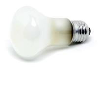 Elinchrom Super Leuci 100W Modelling Lamp for D-Lite