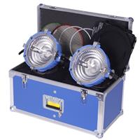 Arrilite 2000 Plus 2 Light Kit with Case