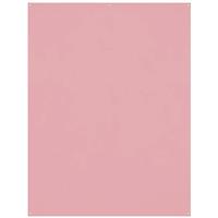 Westcott X-Drop Wrinkle-Resistant Backdrop - Blush Pink (5' x 7')