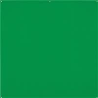 Westcott X-Drop Pro Wrinkle-Resistant Backdrop - Chroma-Key Green Screen (8' x 8')