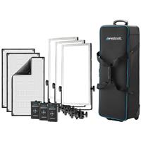Westcott Flex Cine Peter Hurley Daylight Travel Kit (Type C - EU)