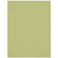 Westcott X-Drop Wrinkle-Resistant Backdrop - Light Moss Green (5' x 7')