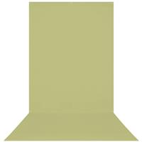 Westcott X-Drop Wrinkle-Resistant Backdrop - Light Moss Green (5' x 12')