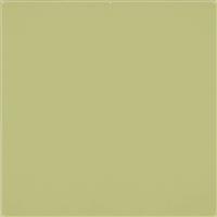 Westcott X-Drop Pro Wrinkle-Resistant Backdrop - Light Moss Green (8' x 8')