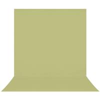 Westcott X-Drop Pro Wrinkle-Resistant Backdrop - Light Moss Green (8' x 13')