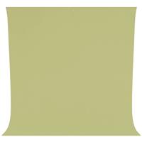 Westcott Wrinkle-Resistant Backdrop - Light Moss Green (9' x 10')