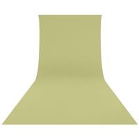 Westcott Wrinkle-Resistant Backdrop - Light Moss Green (9' x 20')