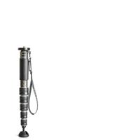 Gitzo GM4562 Series 4 6-Section Carbon Monopod