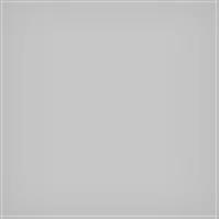 LEE Filters SW150 0.3ND Standard 150x150mm