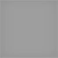 LEE Filters SW150 0.6ND Standard 150x150mm