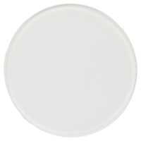 Profoto Glass Plate for Flat Front Frosted