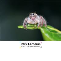 School of Photography Introduction to Macro Photography