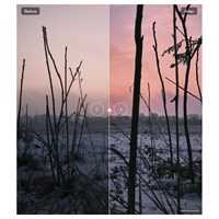 Capture One Pro and Expert Styles Collection
