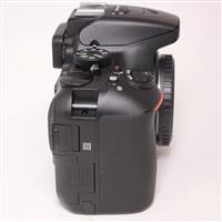 Used Nikon D5600 Digital SLR Camera Body - Black
