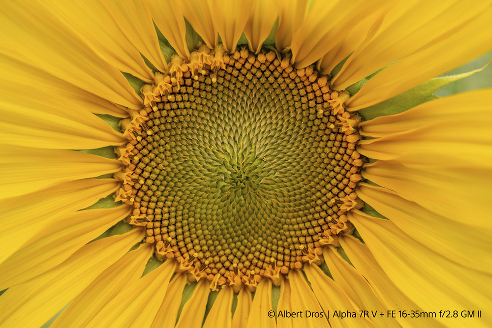 5-Albert-Dros-Alpha-7R-V-with-FE-16-35mm-f28-GM-II