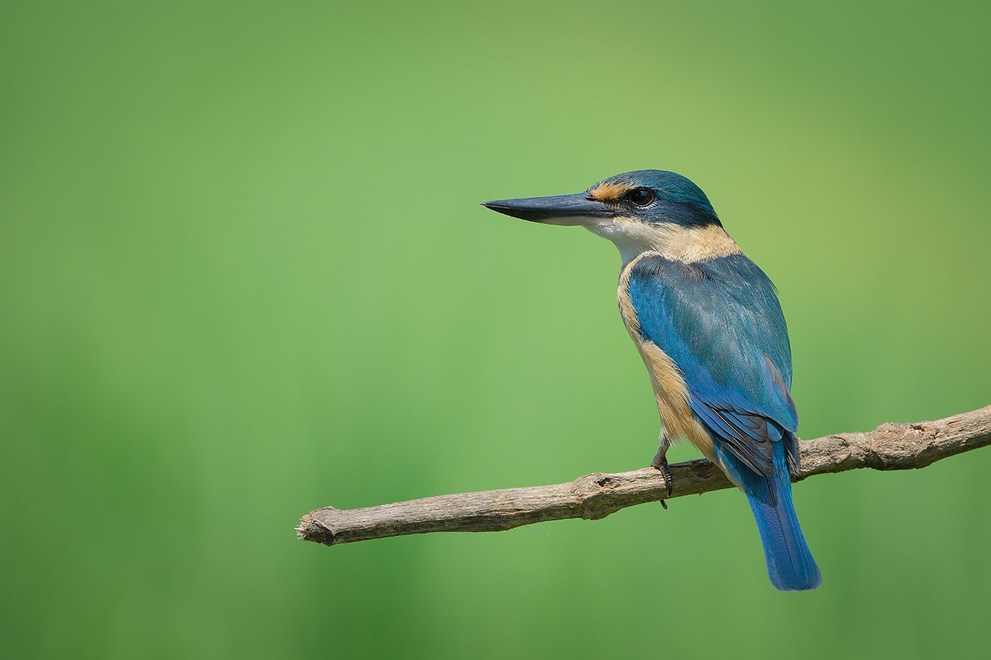 500mm-sample-05-no-exif 500mm-sample-05-no-exif