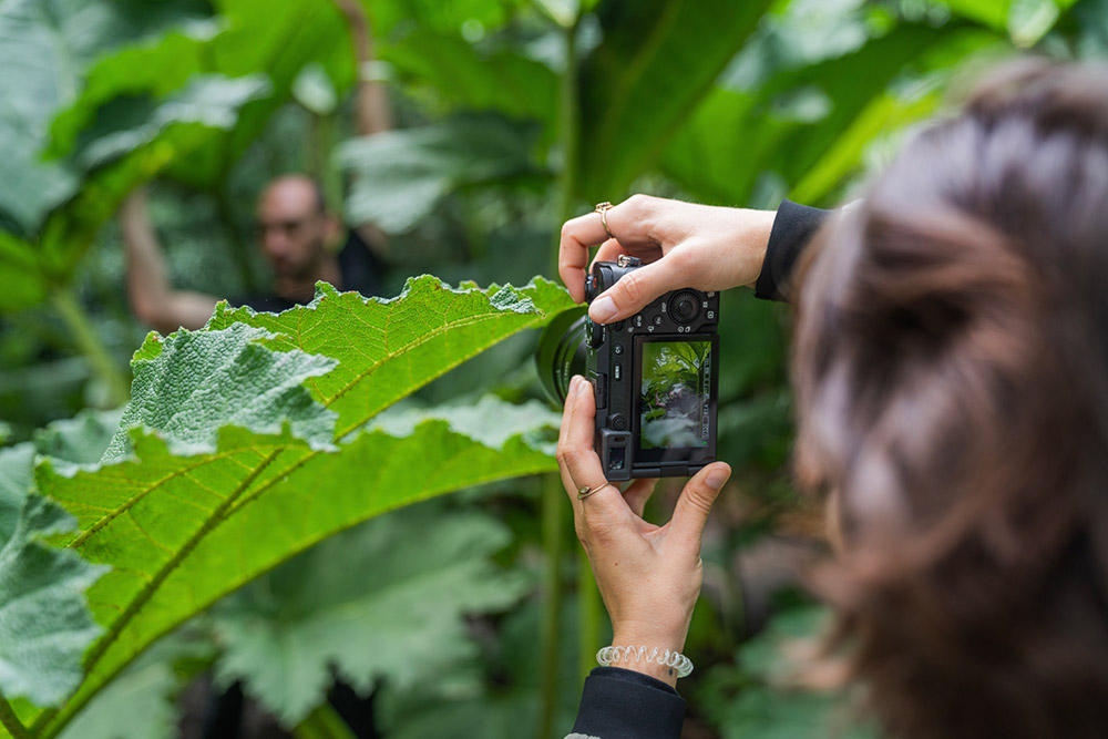 8-ILCE-7CR-Black-Situation-Image-Laura-Zalenga