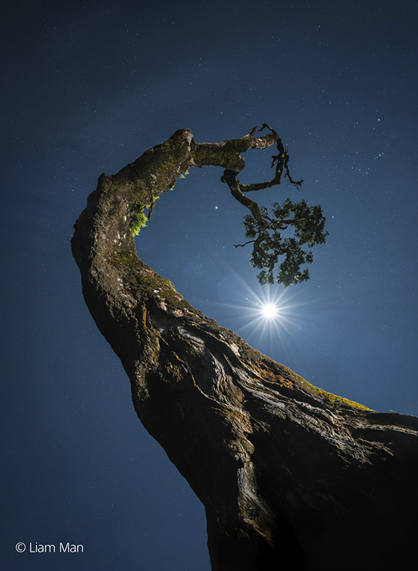 Sample-Image-Liam-Man-02