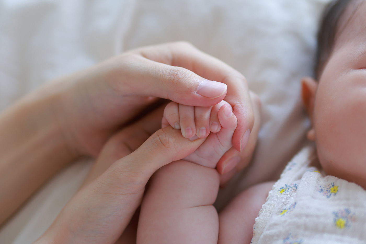 canon-r6-mark-iii-sample-08 canon-r6-mark-iii-sample-08