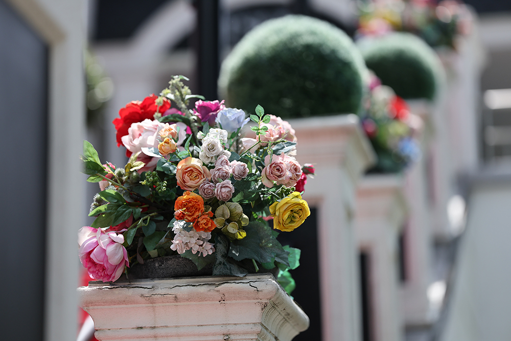 canon-rf-135mm-lens-sample-4