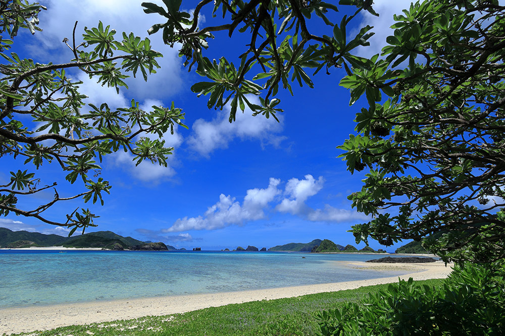 canon-rf-16mm-sample2 canon-rf-16mm-sample2