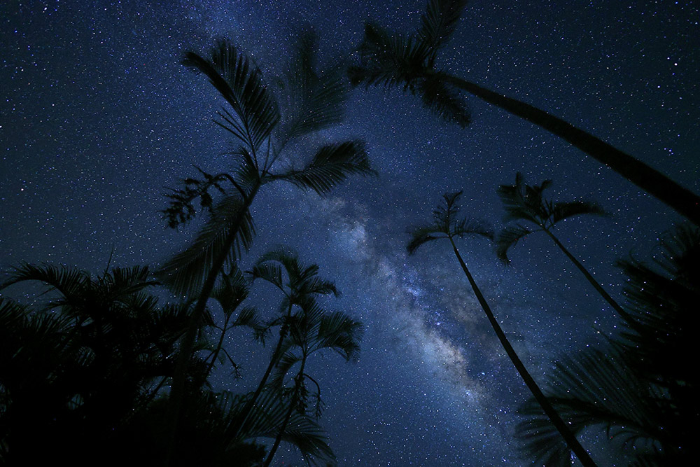 canon-rf-16mm-sample3 canon-rf-16mm-sample3