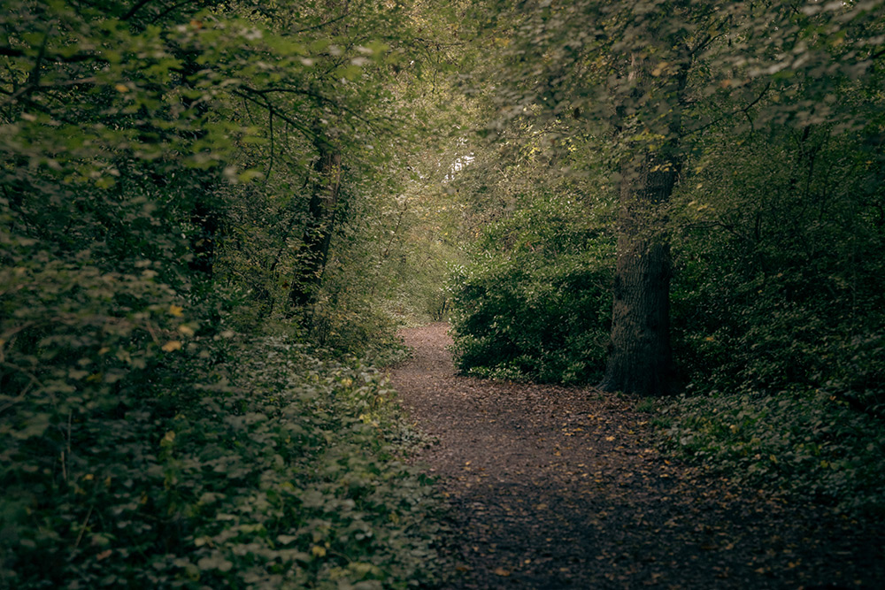 canon-rf-24-105mm-sample-03 canon-rf-24-105mm-sample-03