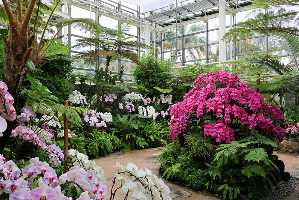 canon-rf15-30mm-sample-1