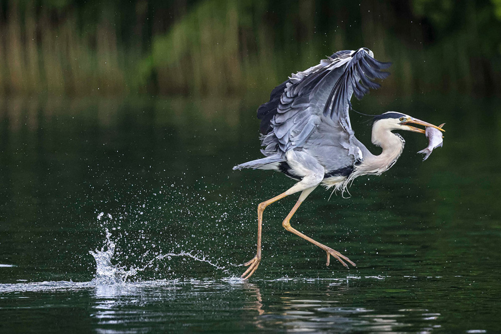 Fishing